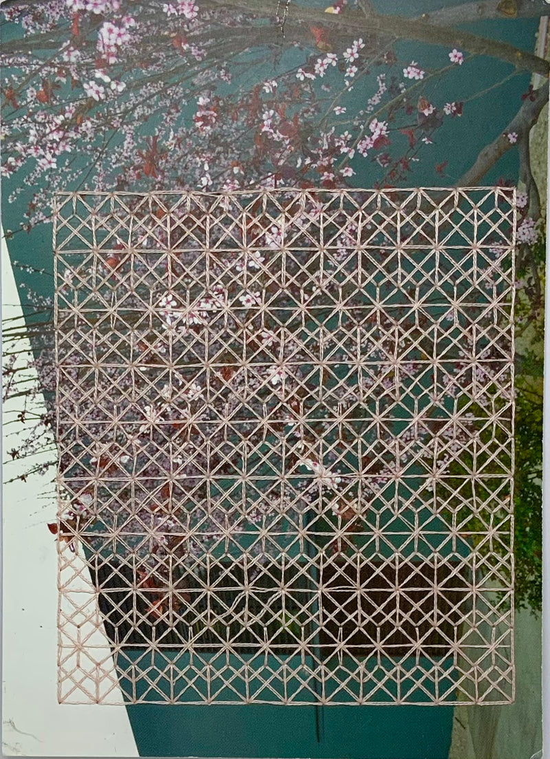 pink blossom