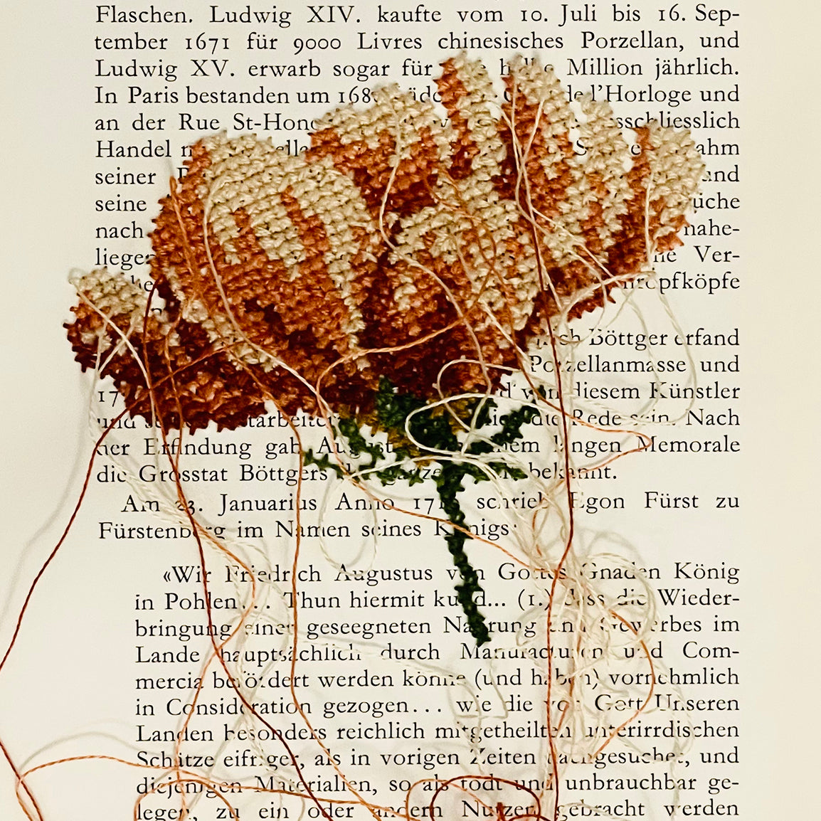 ORANGE FLOWER