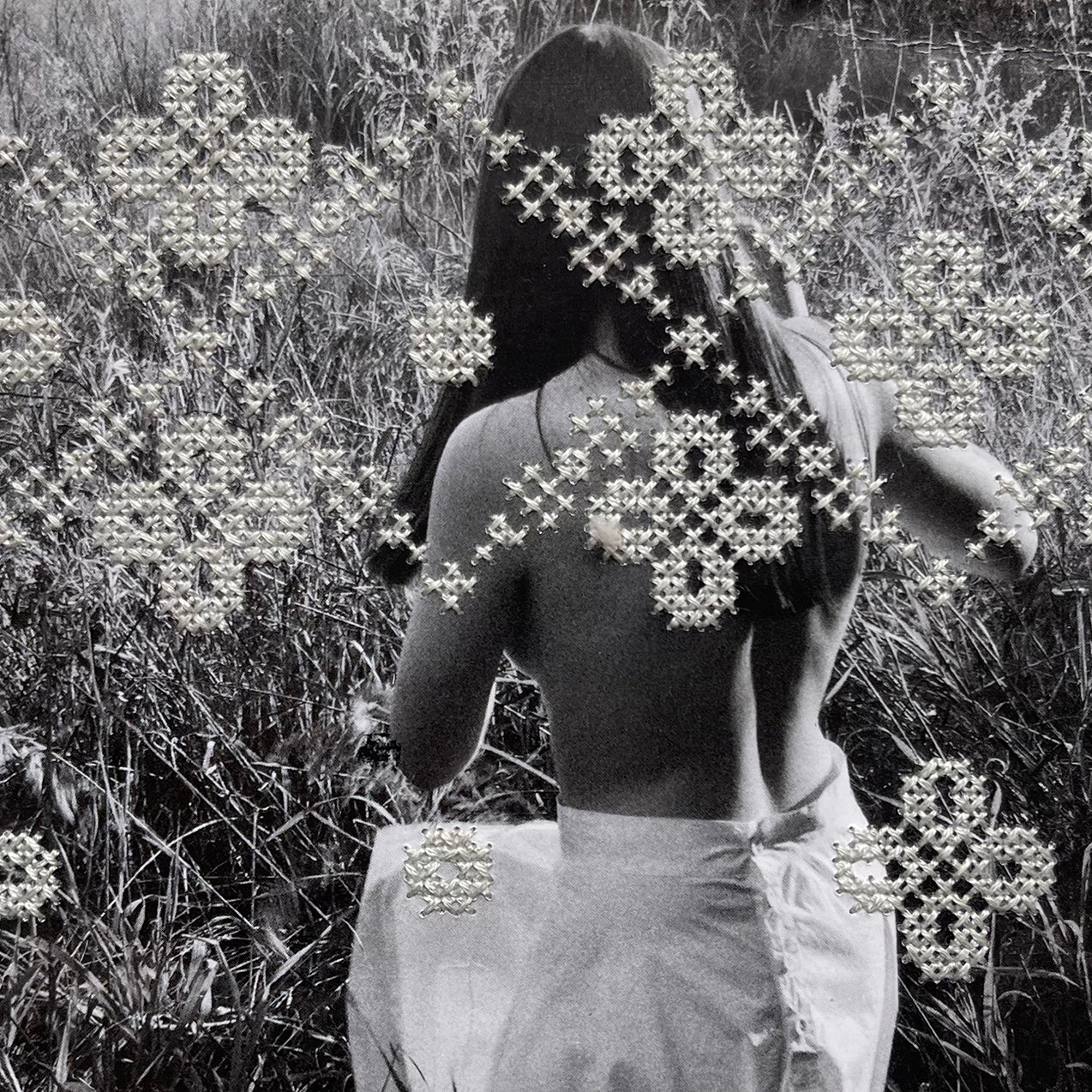 WHITE FIELDS