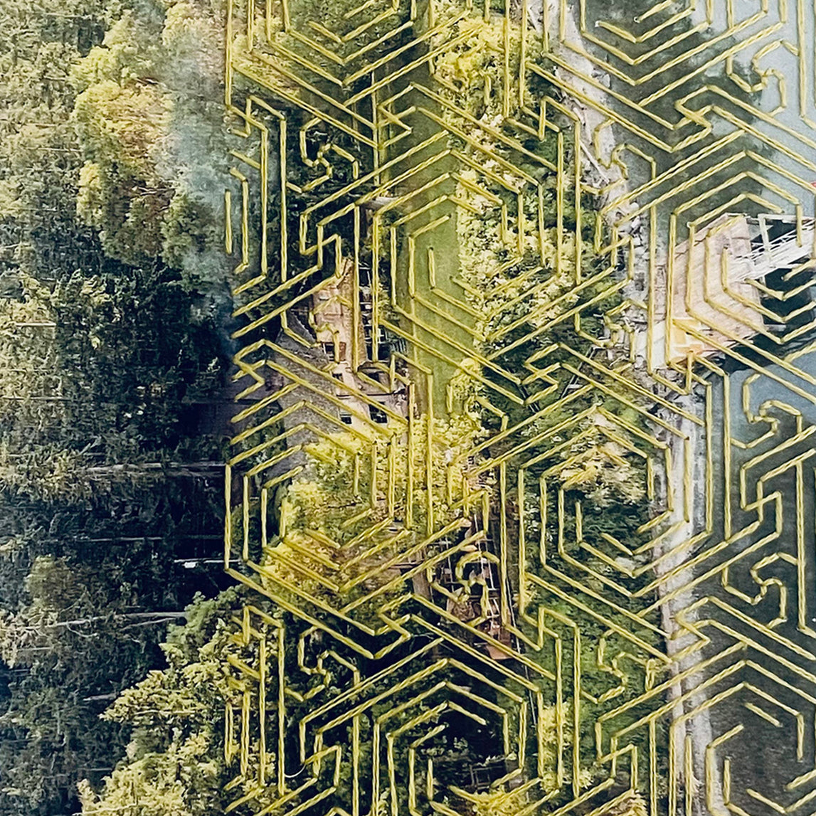 yellow forest